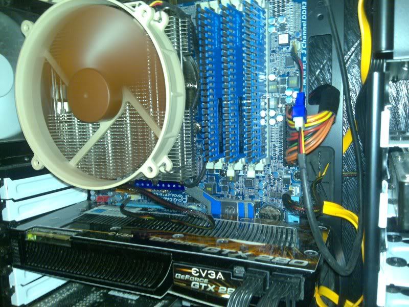 08112010523.jpg