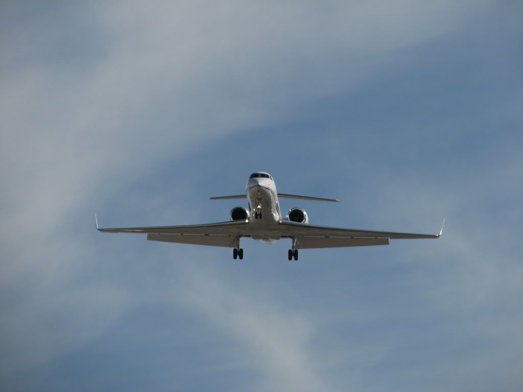 [Image: IMG_1139.jpg]