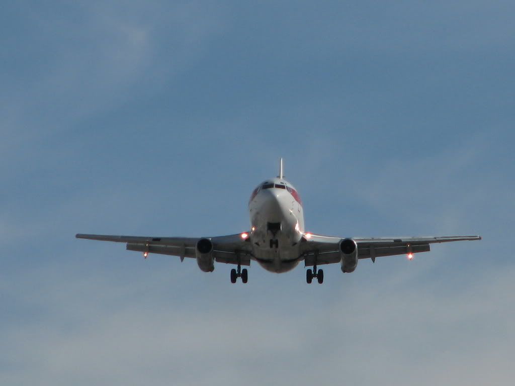 [Image: IMG_1187.jpg]