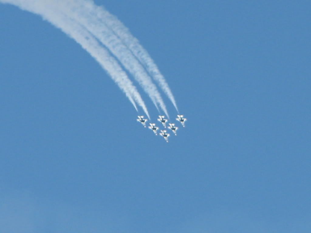 [Image: IMG_1431.jpg]