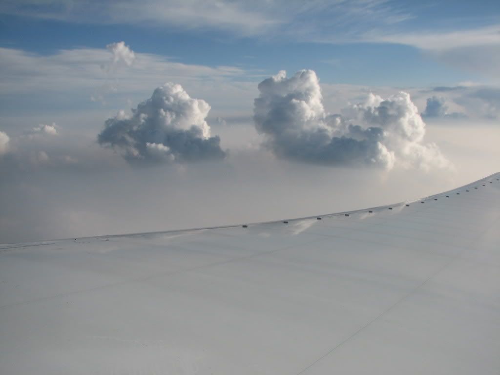 [Image: Picture101.jpg]