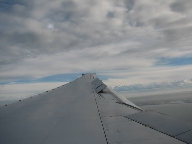 [Image: Picture165.jpg]