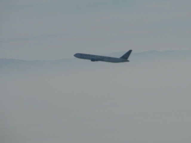 [Image: Picture258.jpg]