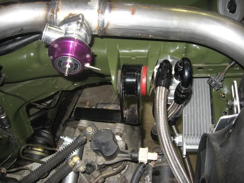 [Image: IMG_1866.jpg]