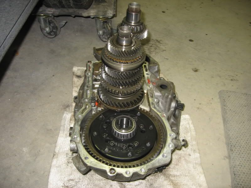 [Image: IMG_2625.jpg]