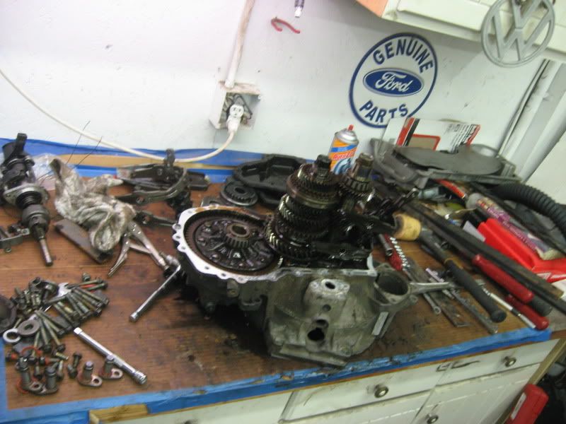 [Image: IMG_2629.jpg]