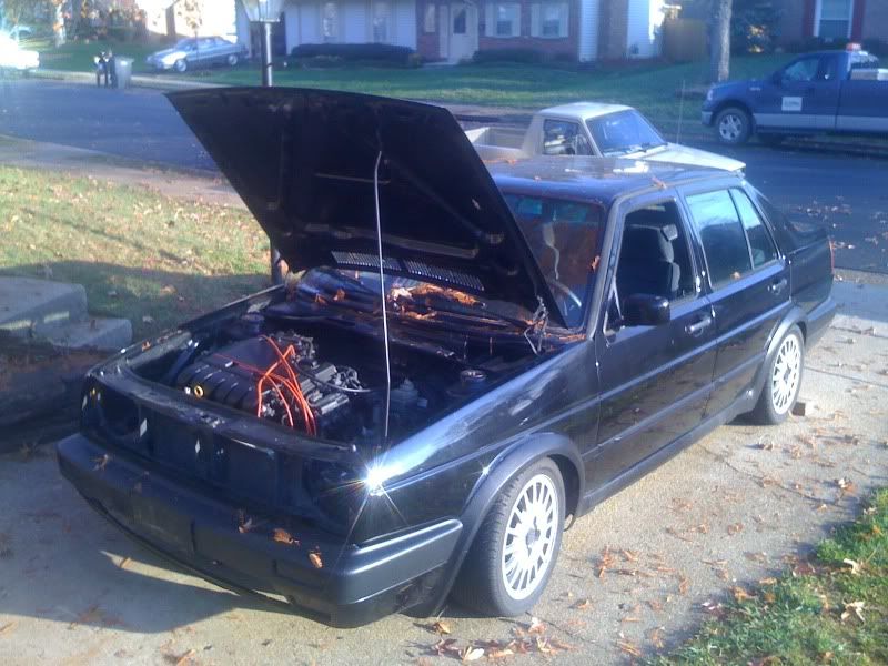 [Image: Jetta004.jpg]