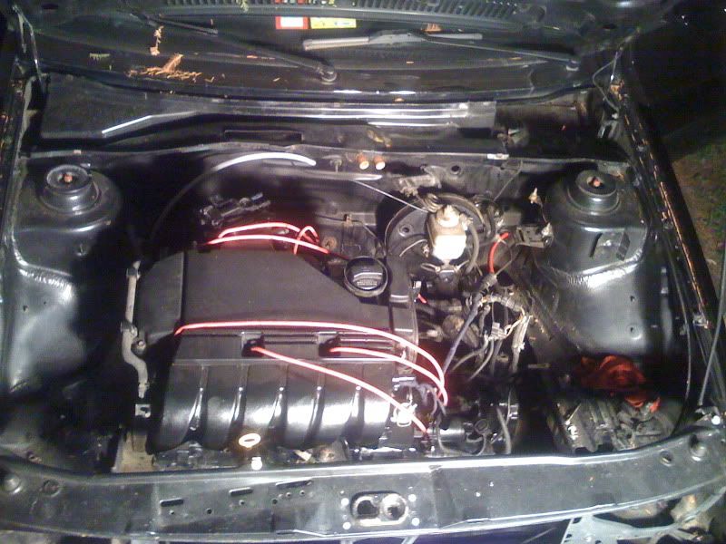 [Image: Jetta008.jpg]