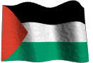 Palestinian Flag Big
