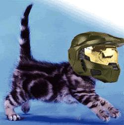 MasterCat-1.gif