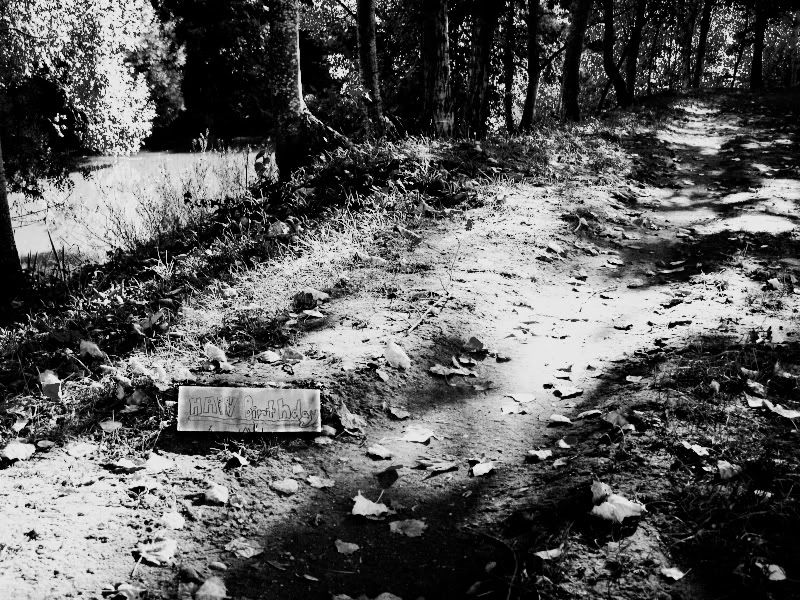 IMAGE: http://i59.photobucket.com/albums/g303/stathunter/bw3312copy.jpg