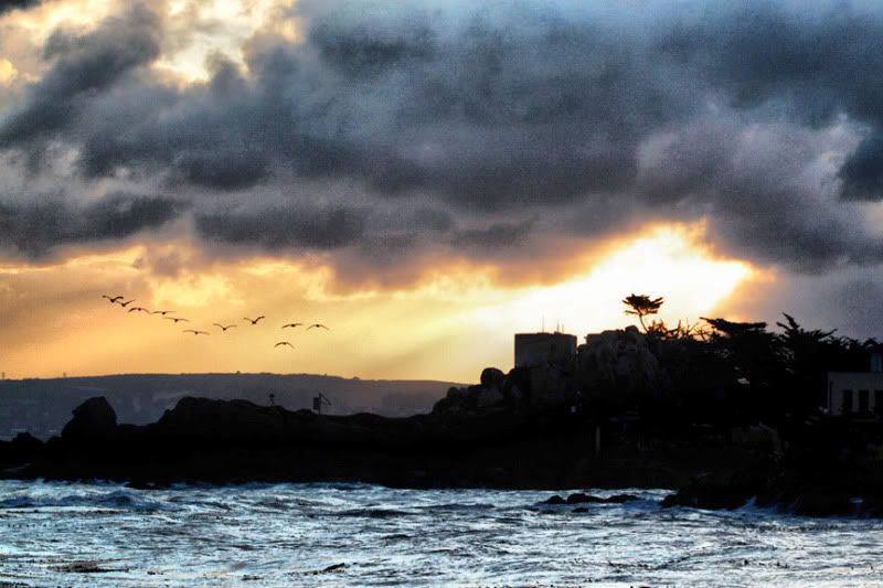 IMAGE: http://i59.photobucket.com/albums/g303/stathunter/potntmichcopy_fhdr.jpg