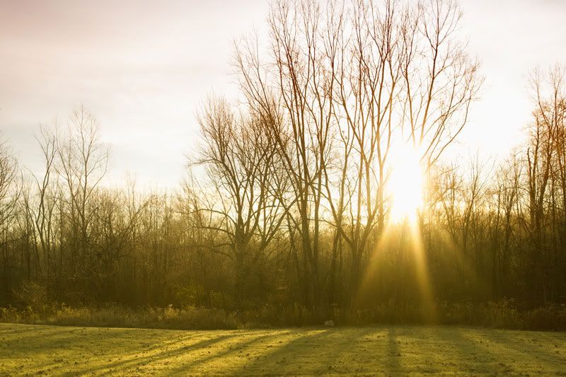 IMAGE: http://i59.photobucket.com/albums/g303/stathunter/webscottstatsonphotography-sunrise1.jpg