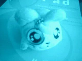 Photo Sharing and Video Hosting at Photobucket
