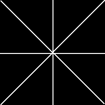 spider Pictures, Images and Photos