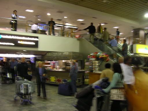 saa baggage claim