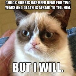 GrumpyCat.jpg