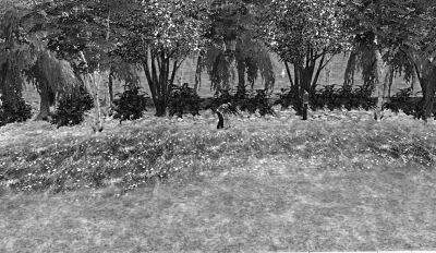WaldundWiese.jpg