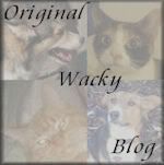 Original Wacky Blog