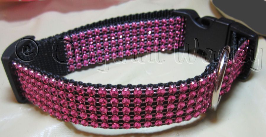 Krissie's collar