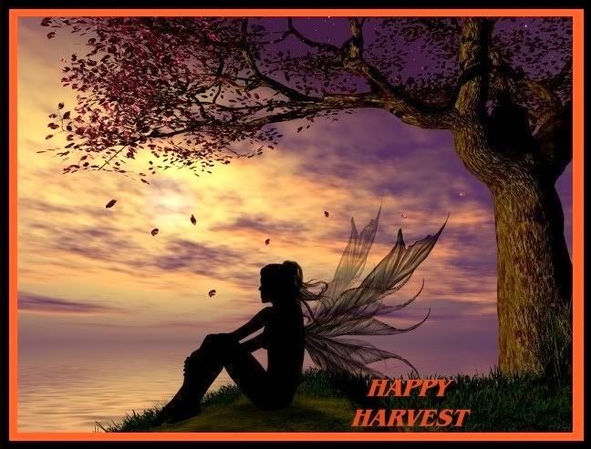 HAPPY HARVEST Pictures, Images and Photos