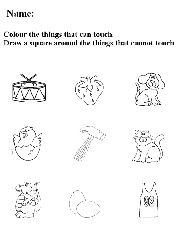(Preschool/Kindergarten) my for senses Free  worksheets Printable Senses Worksheets Five five kindergarten