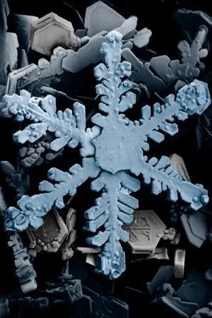 Snow flake as seen under an electron microscope