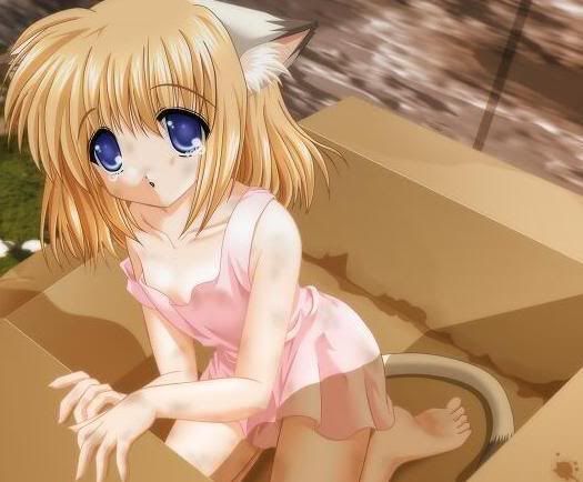 abandoned_kitty.jpg neko girl image by akina_anime_gurl93