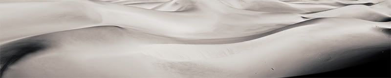 IMAGE: http://i59.photobucket.com/albums/g307/supertom9903/Dunes-pano.jpg