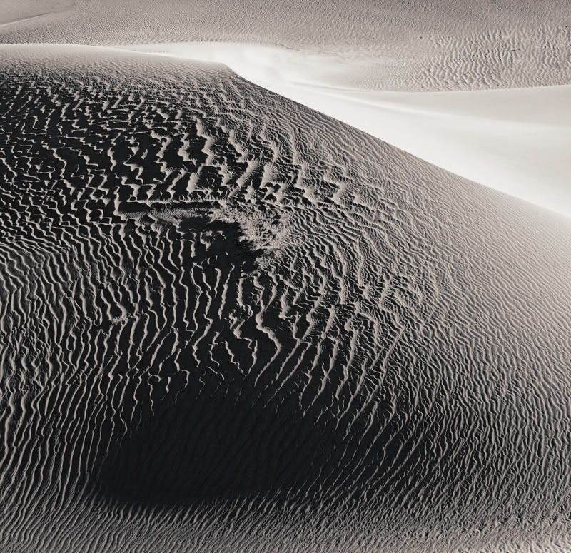 IMAGE: http://i59.photobucket.com/albums/g307/supertom9903/Dunes_1093.jpg