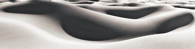 IMAGE: http://i59.photobucket.com/albums/g307/supertom9903/Dunes_1114.jpg