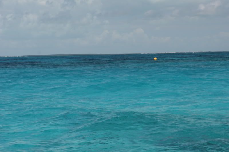 whale harbor sandbar