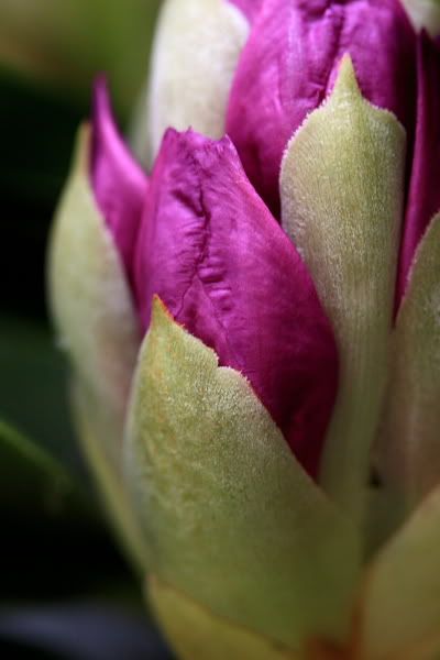 20080517_9999_86_ja_rez.jpg picture by clemenf