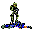 tbag.gif