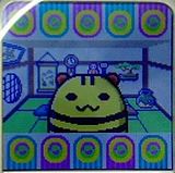 Shimashimatchi-normal.jpg Shimashimatchi - normal appearance image by binary_pics