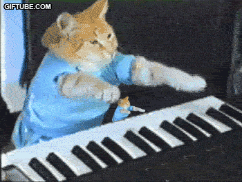KEYBOARD CAT Pictures, Images and Photos