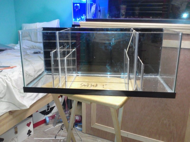 Show off your homeade sumps! Stock tanks converted to sumps! REEF2REEF Saltwater and Reef