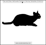 Cat carving pattern