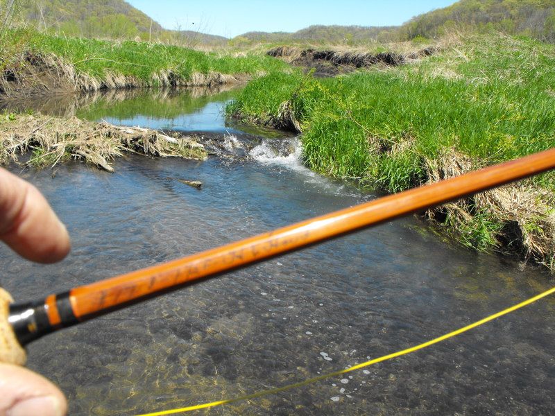 black beauty fishing rod