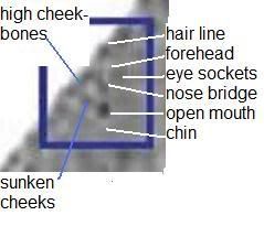 http://i59.photobucket.com/albums/g313/ordsall/ordsall01/anatomy.jpg