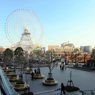 photo IMG_4027.jpg