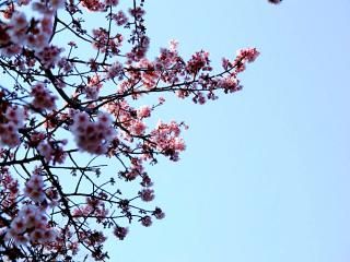 photo IMG_4497.jpg