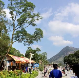 photo IMG_5574.jpg