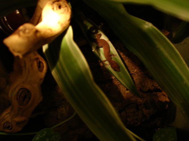 DSC07943.jpg