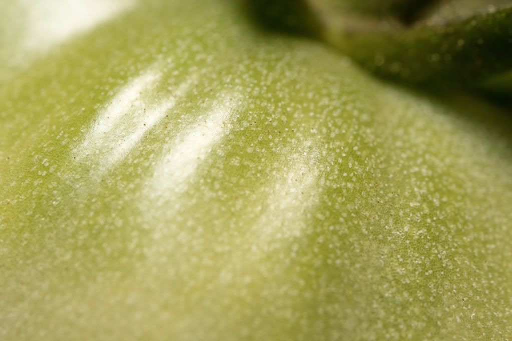 IMAGE: http://i59.photobucket.com/albums/g318/Jumbaught28/IMG_9285.jpg