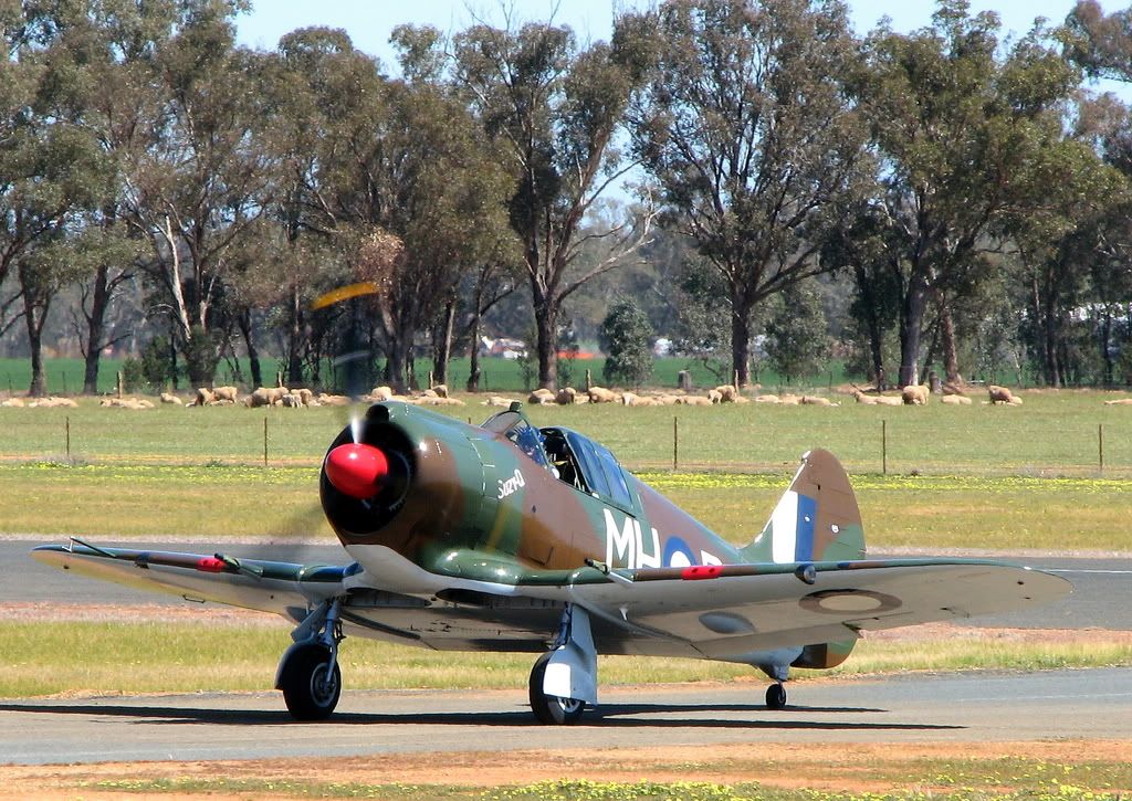 IMAGE: http://i59.photobucket.com/albums/g318/PhillipBrown/IMG_2710.jpg