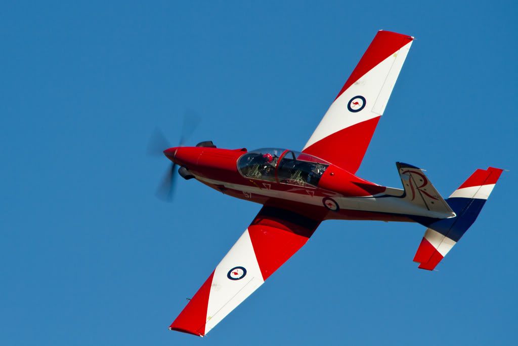 IMAGE: http://i59.photobucket.com/albums/g318/PhillipBrown/Wings%202012/IMG_6021.jpg