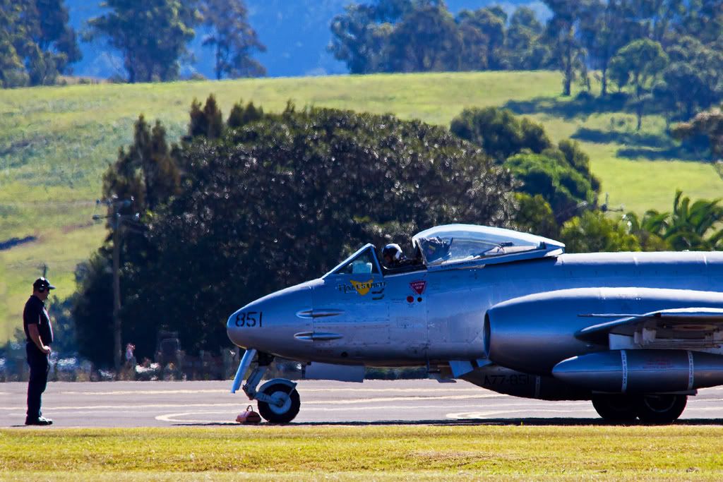 IMAGE: http://i59.photobucket.com/albums/g318/PhillipBrown/Wings%202012/IMG_6212.jpg