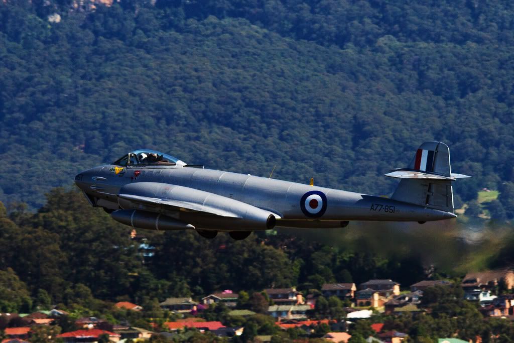 IMAGE: http://i59.photobucket.com/albums/g318/PhillipBrown/Wings%202012/IMG_6256.jpg