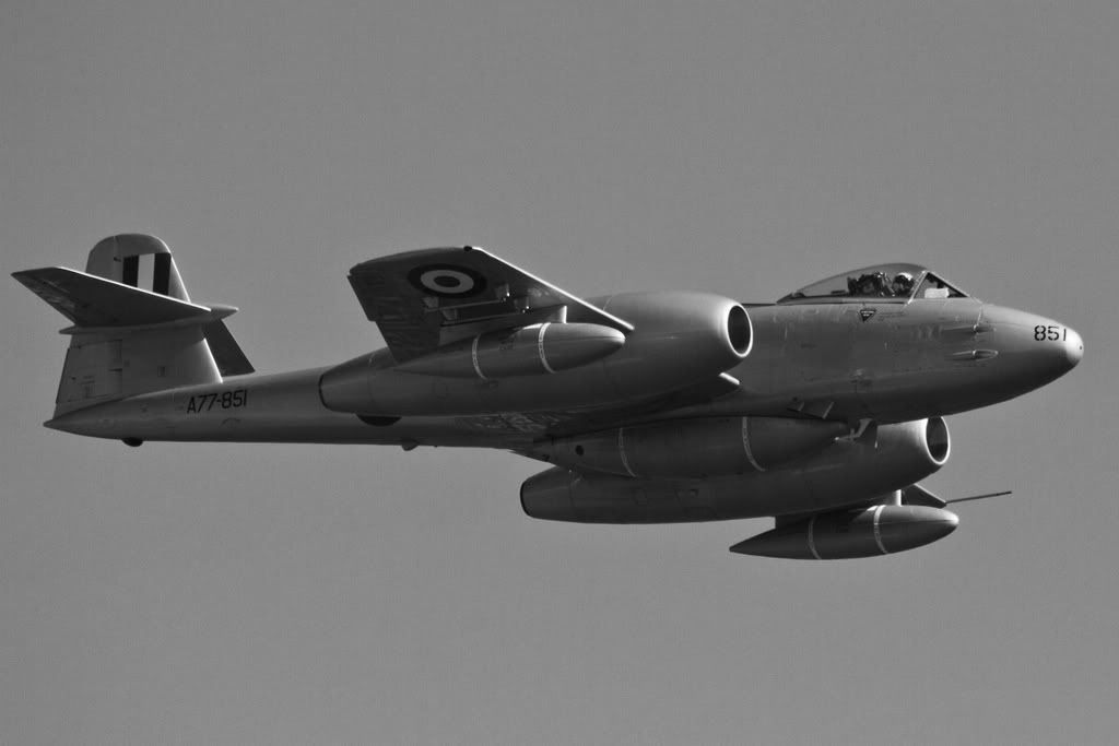 IMAGE: http://i59.photobucket.com/albums/g318/PhillipBrown/Wings%202012/IMG_6280.jpg